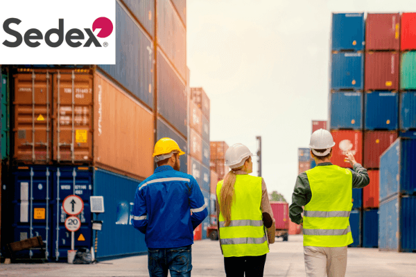 SEDEX logo