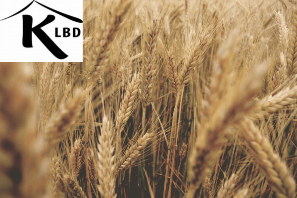 KLBD logo