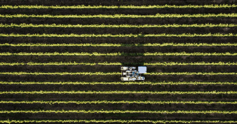 Organic alcohol producer