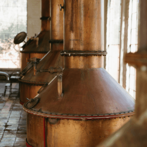 Tequila being distilled