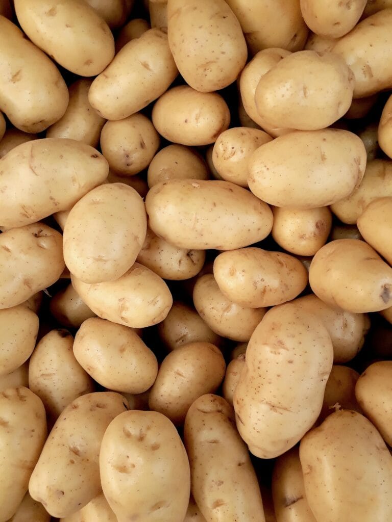Washed potatoes to be used for potato alcohol