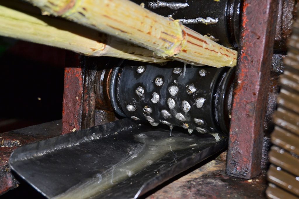 Pressing Sugar cane to get sugar cane juice to make rhum agricole