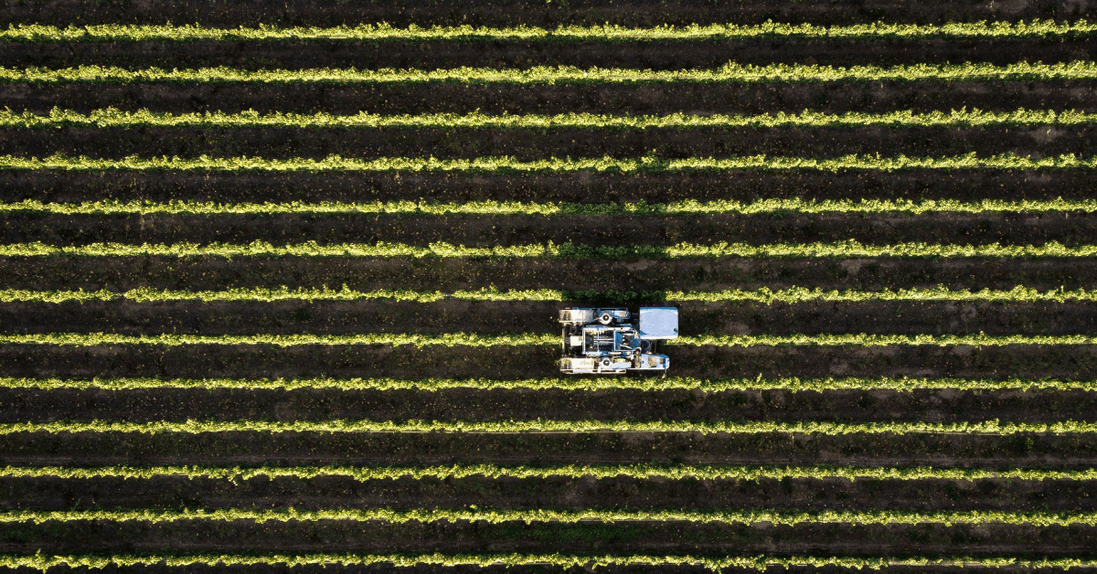 Organic alcohol producer