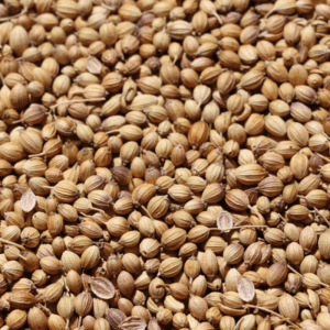 Gin botanical coriander seeds